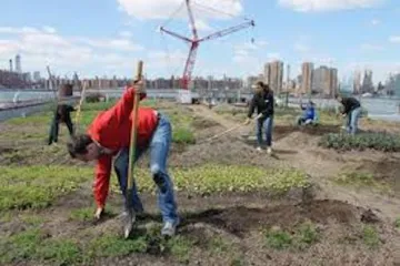 Tamer Institute for Social Enterprise and Climate Change