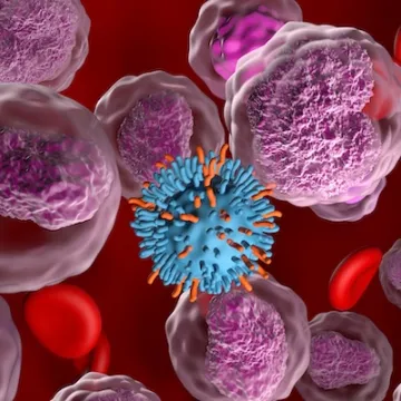 CAR T cell therapy in Non-hodgkin lymphoma (NHL) - closeup view 3d illustration