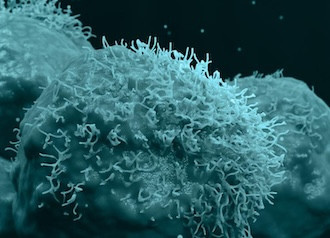 Columbia Initiative in Cell Engineering and Therapy